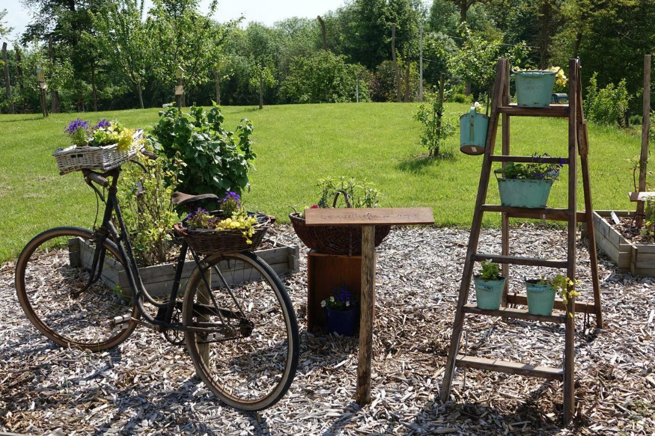Le Manoir Des Aromes 호텔 Brugny-Vaudancourt 외부 사진